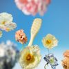Chamomile_Extra_Gentle_PDP_Alt-Image_5