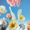 Eucalyptus_Extra_Gentle_PDP_Alt-Image_5