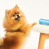 Pet_BlueLightblue_Deshedding_Small_PDP_5
