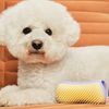 Pet_LilacYellow_Detangling_Small_PDP_5